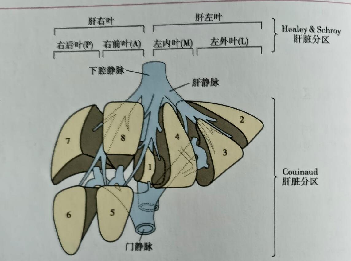 新技术新项目广汉市人民医院成功完成广汉地区首例腹腔镜左半肝切除术